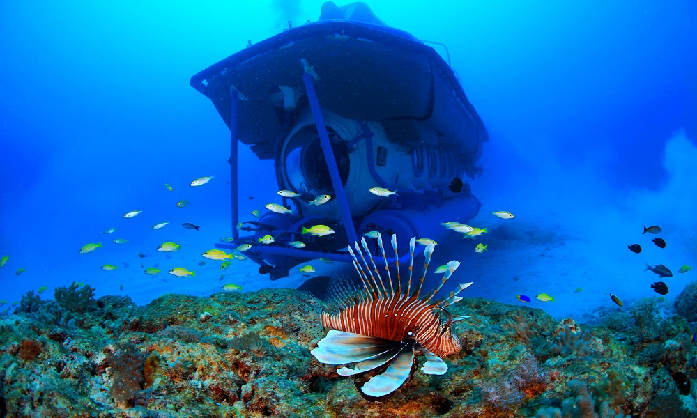 MERGO-50 Tourist Submarine Underwater Front View