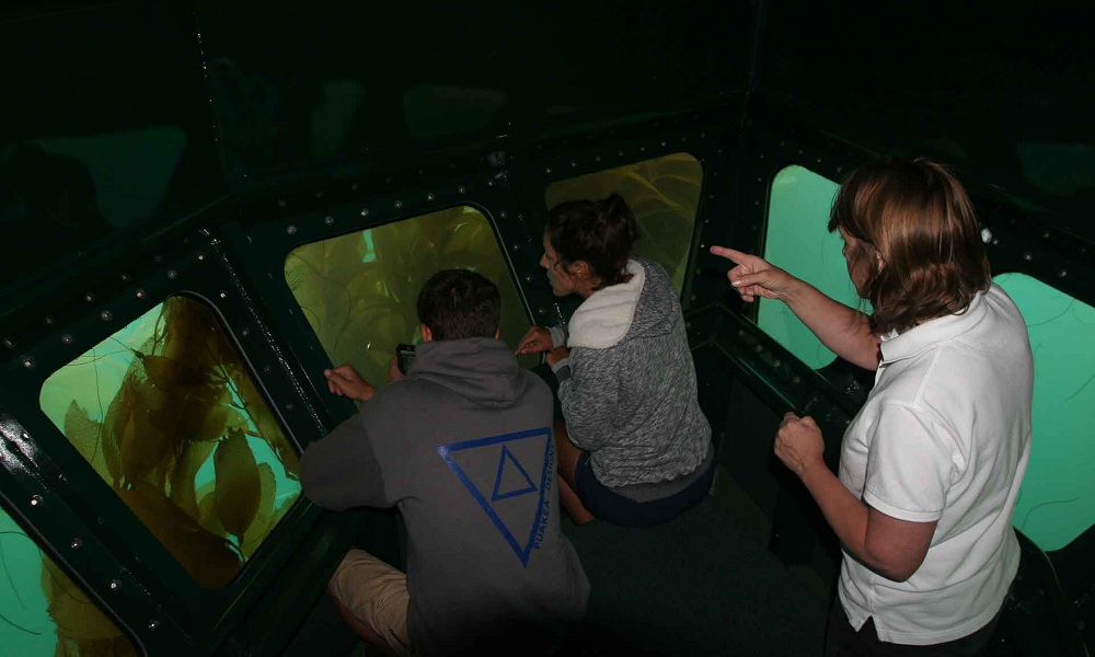 MS-50 Semi-Submarine Passengers Enjoying Underwater View