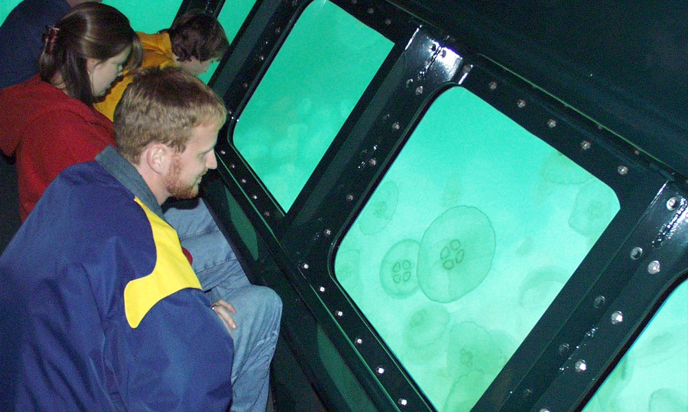 MS-50 Semi-Submarine Passengers Enjoying Underwater View