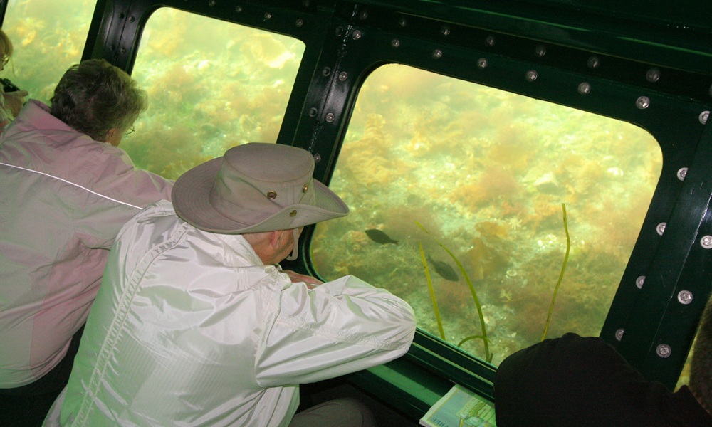 MS-50 Semi-Submarine Passengers Enjoying Underwater View