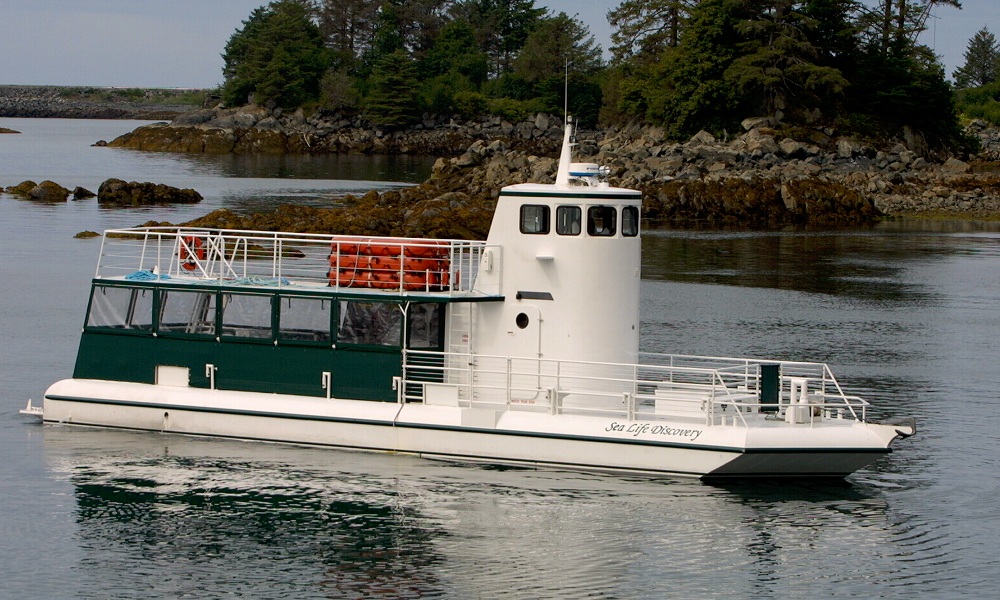 MS-50 Semi-Submarine Side View