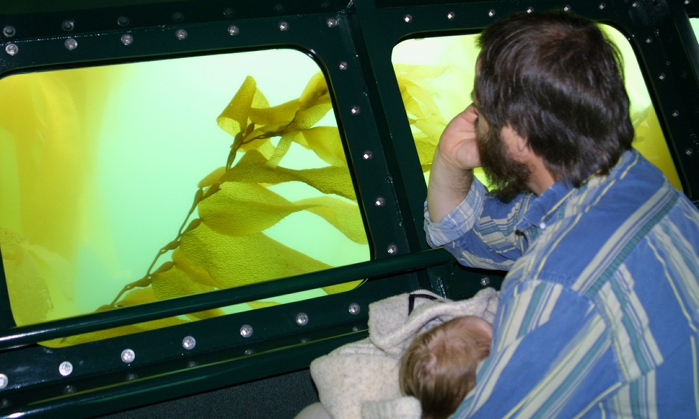 MS-50 Semi-Submarine Passengers Enjoying Underwater View