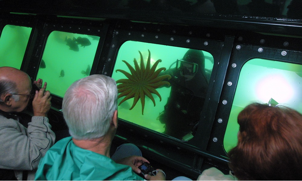 MS-50 Semi-Submarine Passengers Enjoying Underwater View