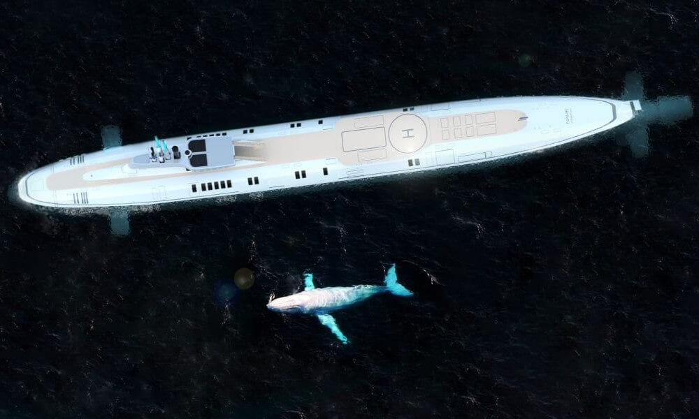 Migaloo Cruise Line Submarine Top View with Whale