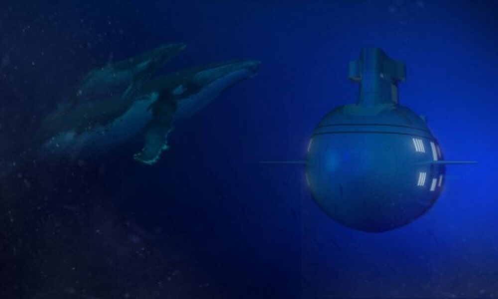 Migaloo Submersible Superyacht Underwater with whales