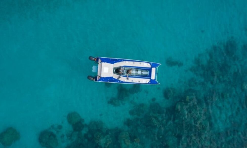 Platypus Craft - LAGOON Top View Taken by Drone