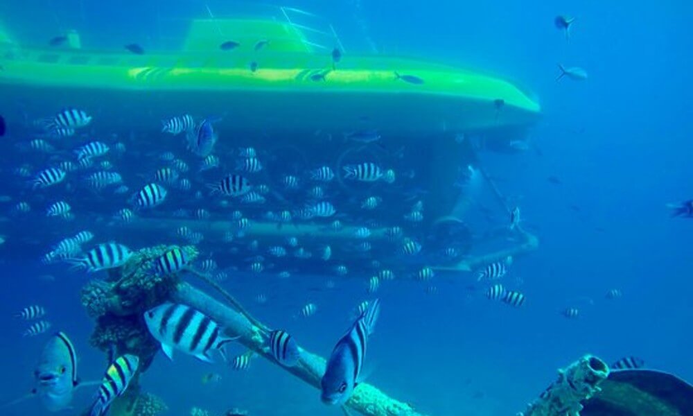 SnDB Tourist Submarine Underwater Side View