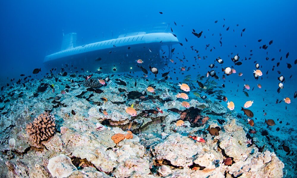 SnDB Tourist Submarine Underwater Side View from Distance