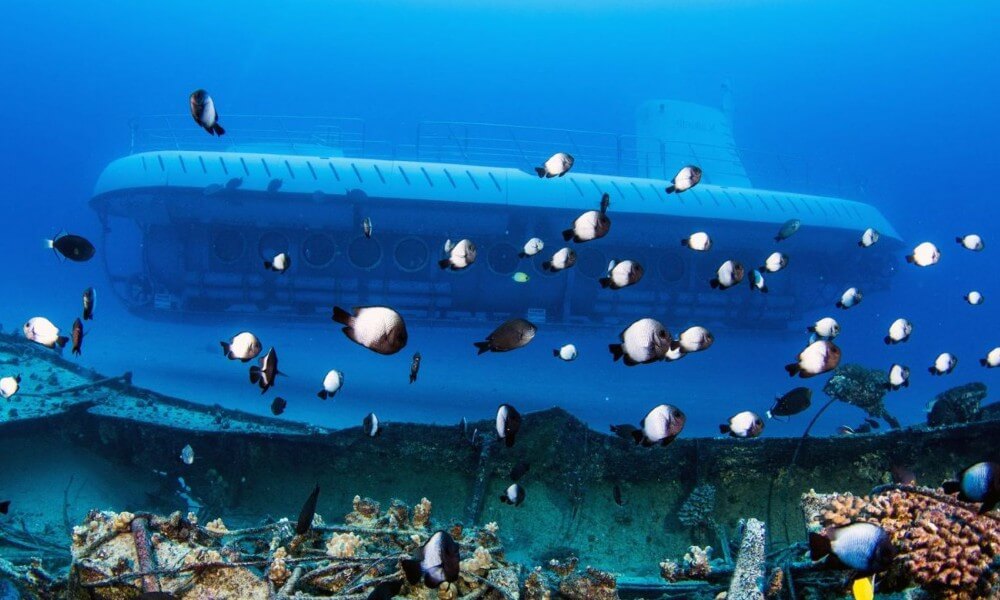 SnDB Tourist Submarine Underwater Side View from Distance