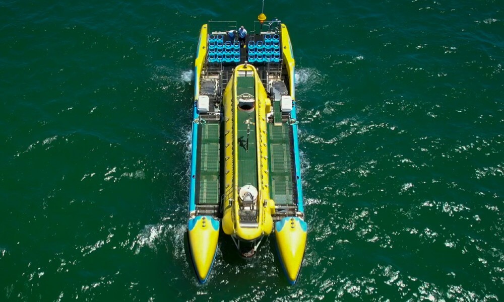 Tourist Submarine Catamaran Top View