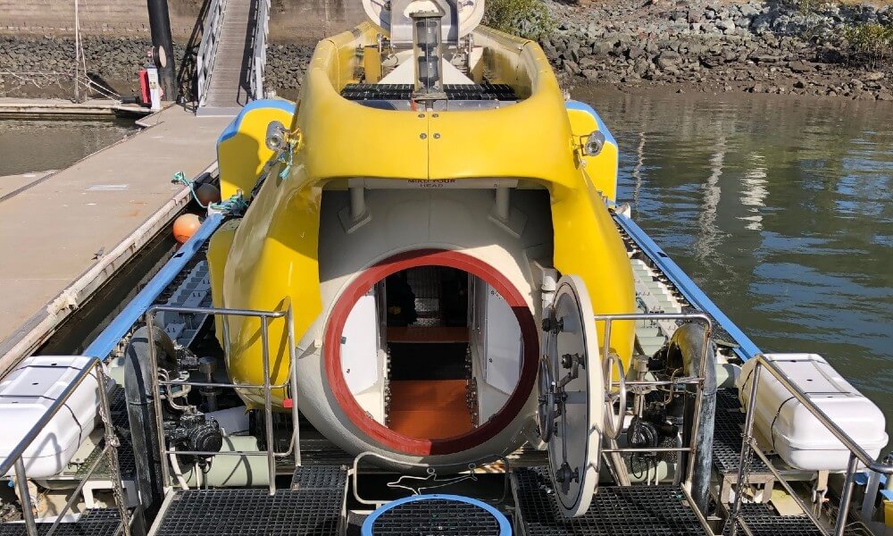 Tourist Submarine Catamaran Front View