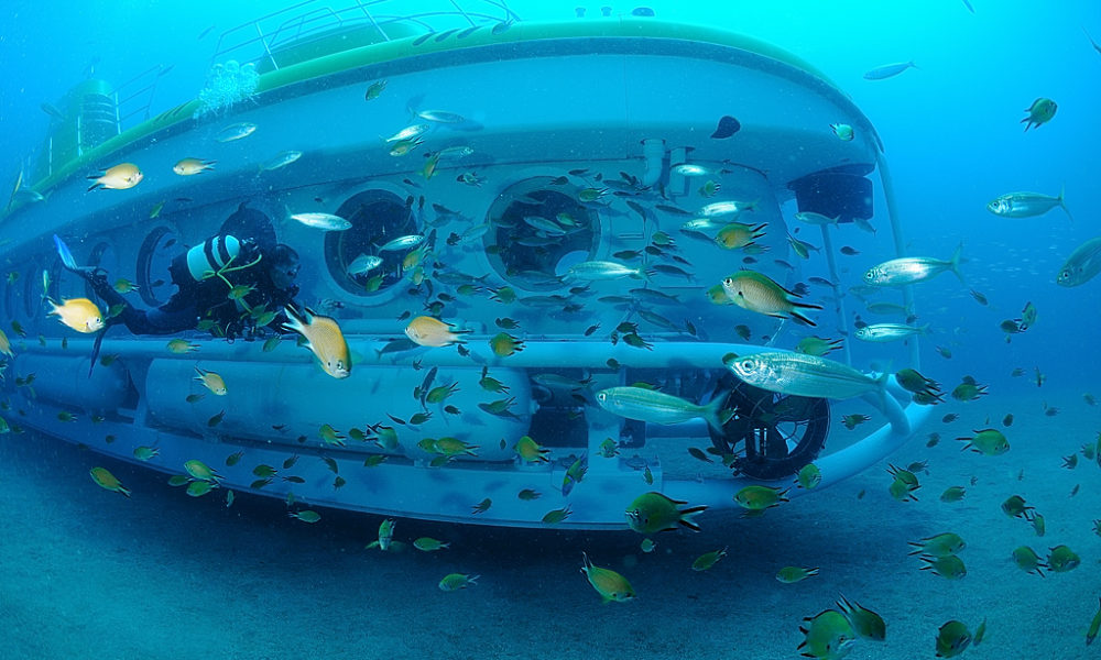 W Tourist Submarine Underwater Front View