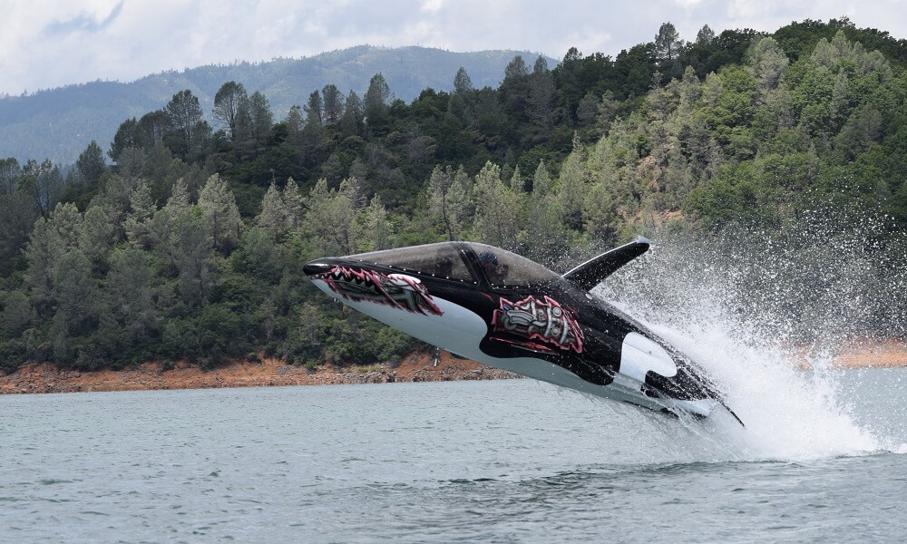 Seabreacher-Y Model Killer Whale Inspired Monster Orca Color
